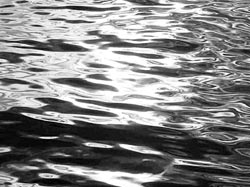 5133_20060924